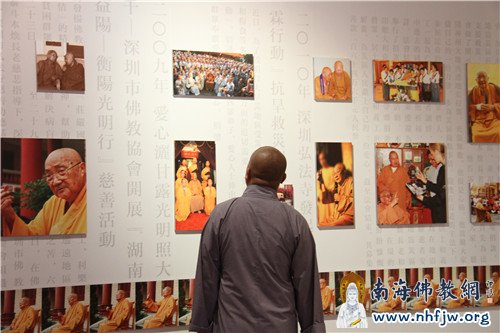 专心观赏本老照片