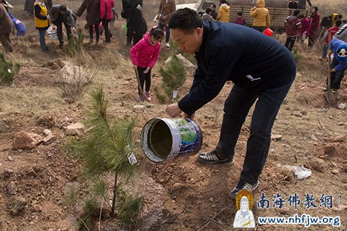��ֳ�Ϊ���罽ˮ.jpg